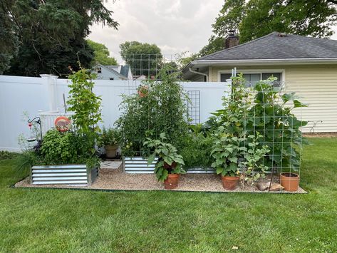 Garden Behind Garage, Homestead Plans, Tiny Homestead, Garden Arch Trellis, Garden Bed Layout, Metal Garden Beds, Garden Seating Area, Garden Layouts, Metal Raised Garden Beds