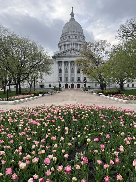 Madison, WI Madison Wisconsin Aesthetic, Uw Madison Aesthetic, Wisconsin Aesthetic, Madison Aesthetic, Wisconsin Living, Washington Dc Winter, Dc Winter, College Abroad, Dc Aesthetic