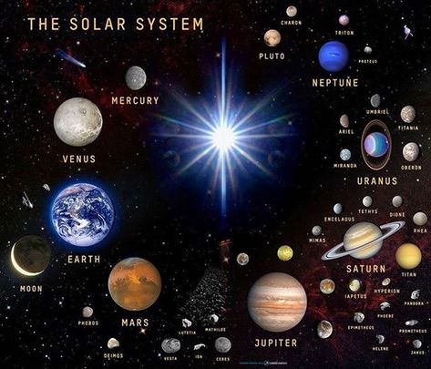 Solar System family portrait... #solarsystem #space #planets #star #sun #moons #asteroids #dwarfplanets #astronomy #cosmology #astrophysics… Another Poster, Eight Planets, Tata Surya, Solar System Art, Planet Mercury, Planetary System, Small Planet, Weather Data, Earth Photos