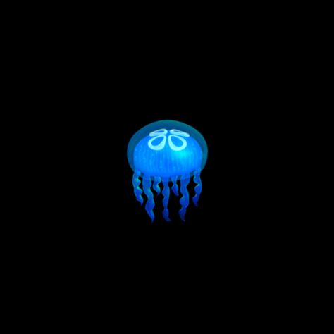 Blue Jellyfish, Jellyfish, In The Dark, Blue