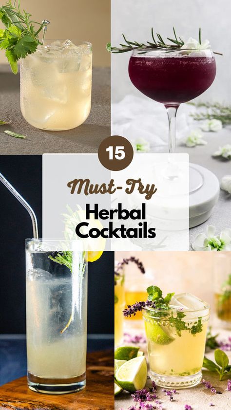 Herbal cocktails are a delightful fusion of fresh herbs and spirits, offering a tantalizing twist to traditional mixed drinks. Imagine sipping on a refreshing concoction infused with the fragrant essence of basil, mint, or rosemary, adding a burst of natural flavor to every sip. These cocktails are perfect for those who appreciate the vibrant, earthy notes of herbs and seek a more adventurous drinking experience. #herbalcocktails Plant Themed Cocktails, Herb Cocktail Recipes, Herbal Cocktail Recipes, Basil Drinks Cocktails, Rosemary Cocktail Recipes, Herb Drinks, Herb Cocktails, Herbal Liquor, Herbal Cocktails