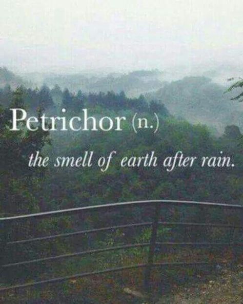 Petrichor - the smell of earth after rain. Sanna Ord, Citation Nature, Unique Words Definitions, Fina Ord, Uncommon Words, School Playground, Blue Photo, Weird Words, Unusual Words