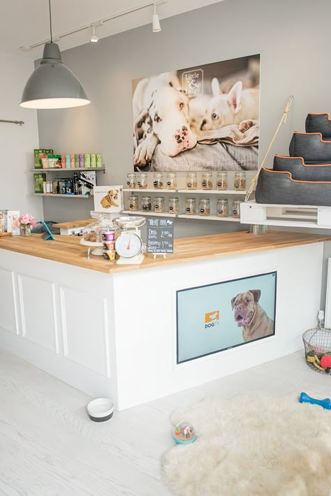 Dog Grooming Salon Ideas, Dog Grooming Salon Decor, Pfp Animal, Dog Boutique Ideas, Grooming Salon Ideas, Dog Hair Dye, Aesthetic Cat Tattoo, Wallpaper Dog Aesthetic, Pet Store Design