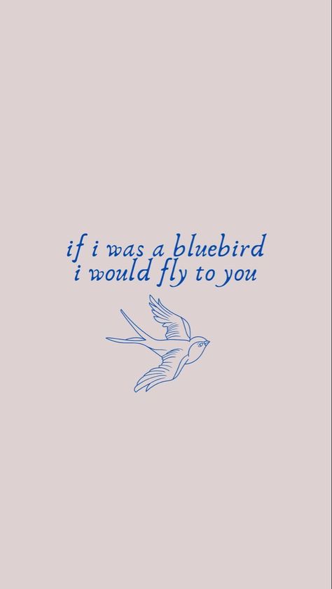 Bluebird Harry Styles, Harry Styles Bluebird Tattoo, If I Was A Bluebird I Would Fly To You, Bluebird Aesthetic, Harry Styles Lyric Wallpaper, Harry Styles Lyric Art, Harry Styles Wallpaper Lyrics, Harry Styles Lyrics Wallpaper, Harry Styles Blue