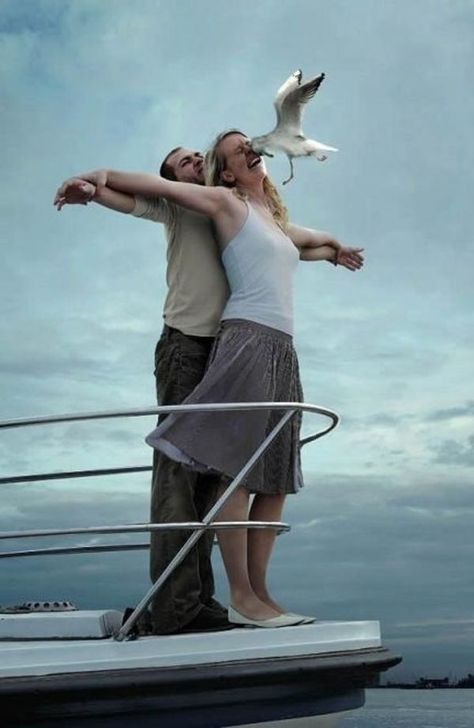 Bird Attack, Fotografi Kota, Pencak Silat, Perfectly Timed Photos, 웃긴 사진, Funny Couples, Angry Birds, Funny People, Titanic