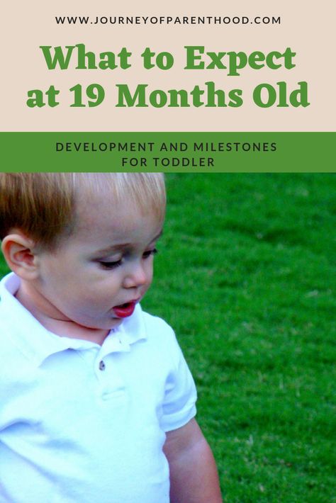 What to expect at 19 months old - development and milestones to look for with your toddler and how to know if he or she is on target and meeting their milestone markers. #toddlerboy #toddlerlife #toddlerdevelopment 10 Month Milestones, Developmental Milestones Chart, Milestone Chart, 19 Month Old, Milestone Markers, Toddler Milestones, Teaching Manners, Action Songs, Guess Kids