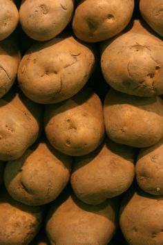 What Is An Irish Potato – Learn About The History Of Irish Potatoes The Irish Potato Famine is a harrowing time in history and some of you may not want to know more about Irish potato information, but it is important to learn about the history of Irish potatoes so it is not repeated. So, what is an Irish potato anyways? Click here to learn more. Fall Garden Planting, Potato Famine, Uganda Africa, Irish Potato, Food Safety Tips, Irish Potatoes, Seasoned Potatoes, Fall Garden Vegetables, Veggie Garden