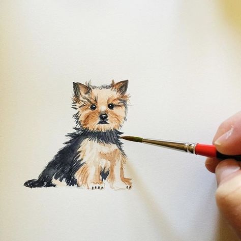 The 15 Most Realistic Yorkie Paintings Yorkie Painting, Top Dog Breeds, Animals Watercolor, Yorkie Terrier, 강아지 그림, Yorkshire Terrier Puppies, Lap Dogs, Dog Tattoos, Dog Paintings