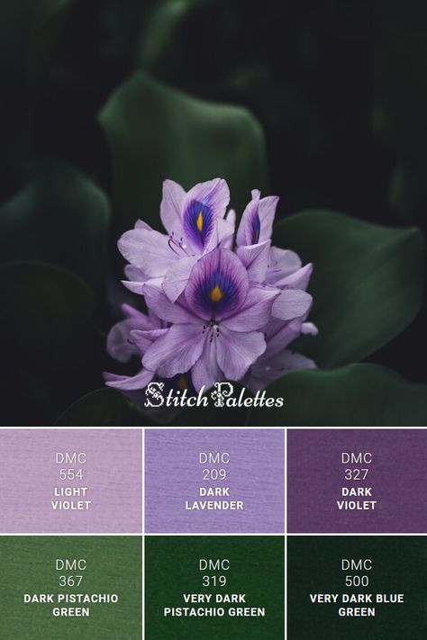 Floss color inspiration for cross stitch and embroidery projects. Thread colors used: DMC 327: Dark Violet / DMC 209: Dark Lavender / DMC 554: Light Violet / DMC 367: Dark Pistachio Green / DMC 319: Very Dark Pistachio Green / DMC 500: Very Dark Blue Green. Palette ID: SPA0523 Hunter Green And Lavender, Dark Green And Purple Palette, Dmc Purple Palette, Purple Green Grey Color Palette, Dark Purple And Green Color Palette, Dark Green Light Purple Wedding, Lavender And Emerald Green Color Palette, Emerald Green And Purple Color Palette, Purple Green Office