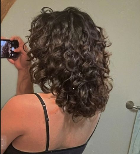 Short Curly Hair Brunette, Dark Brown Mid Length Curly Hair, Short Medium Wavy Hair, Perm On Shoulder Length Hair, Short Curly Haircuts Shoulder Length, Layers Curly Hair Short, Shoulder Curly Haircuts, Perm Medium Length Hair, Long Bob Curly Hair