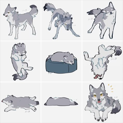 Wolfs by @rinrinwolf Wolf Drawing Bases, Canine Drawing Reference, Wolf Poses Reference Photo, Dog On Hind Legs Drawing, Person With Wolf Drawing Reference, Wolf Sleeping Drawing, Chibi Wolf Drawing, Wolf Drawing Easy Step By Step, Dire Wolf Drawing