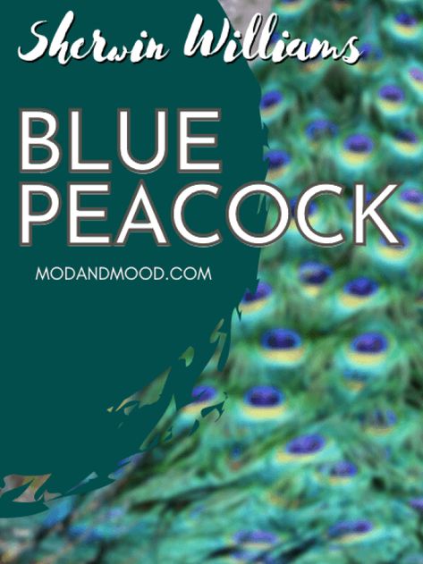 Peacock Blue Paint Sherwin Williams, Sw Blue Peacock, Blue Peacock Sherwin Williams, Sherwin Williams Teal, Peacock Paint Colors, Watery Sherwin Williams, Peacock Blue Paint, Sherman Williams Paint, Blue Bedroom Paint