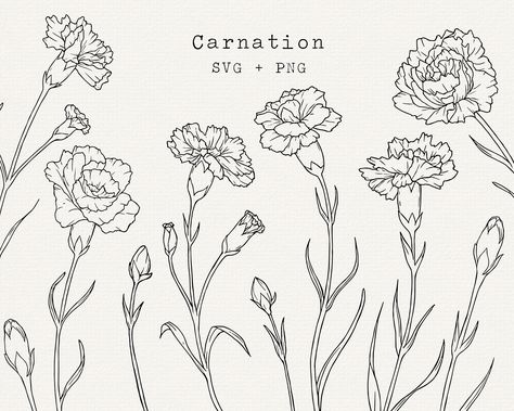 Carnation Vector, Simple Outline Drawing, Carnation Drawing, Line Art Simple, Carnation Tattoo, Vine Drawing, Matching Friend Tattoos, Flower Line Art, Matching Friend