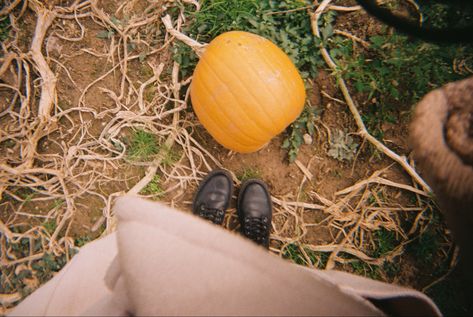 Michigan Fall, Pumpkin Patch Outfit, 35mm Photography, Film Photography 35mm, 35mm Film, Film Camera, Fall Vibes, Pumpkin Patch, Film Photography