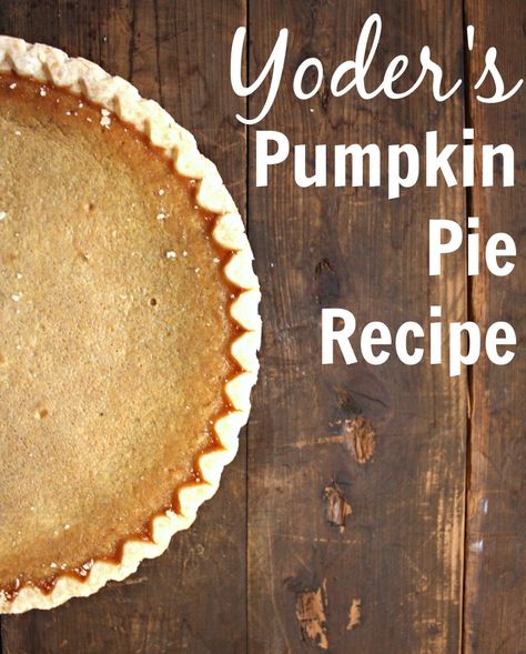 Yoder's Pumpkin Pie Recipe Her Heartland Soul Amish Pumpkin Custard Pie, Amish Pumpkin Pie, Amish Pumpkin Pie Recipe, Amish Desserts, Amish Friendship Bread Starter Recipes, Amish Kitchen, Best Pumpkin Pie Recipe, Mixed Berry Pie, Thanksgiving Foods