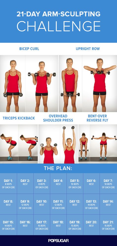 After following this 21-day arm plan, not only will your arms look toned — you'll also be stronger. Workout Morning, Arm Challenge, Body Ideas, Bolesti Chrbta, Fitness Routines, Trening Fitness, Gym Outfits, Street Workout, Easy Yoga