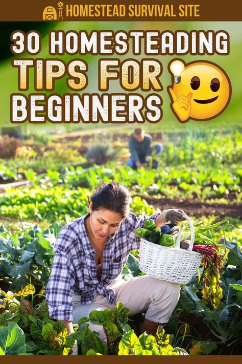 Homesteading For Beginners, Homestead Gardening, Homesteading Ideas, Homesteading Diy, Homestead Farm, Homesteading Skills, Self Sufficient, Introduce Yourself, Big Cities