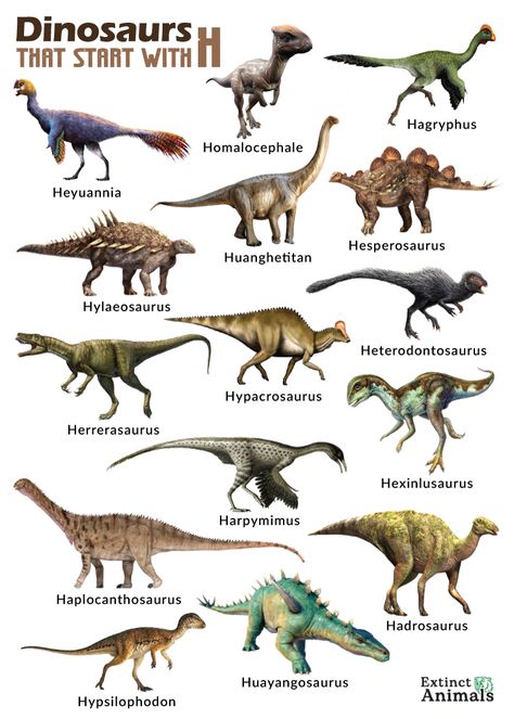 Dinosaur Real, Big Dinosaurs, Real Dinosaurs, Dinosaur Information, Types Of Dinosaurs, Geology Art, Dinosaur Types, Prehistoric Animals Dinosaurs, Dinosaur Facts