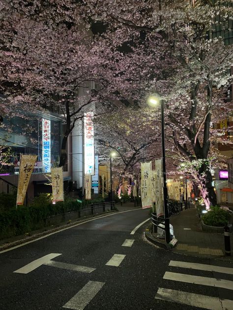 Oboreru Knife, Tokyo At Night, Japan Vibes, City Core, Sakura Season, Tokyo Aesthetic, Season Aesthetic, Japan Spring, Japan Holidays