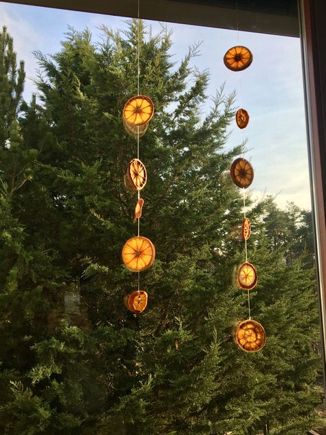 Hanging Dried Fruit, Dried Fruit Curtain, Orange Garland Window, Things To Hang Off Ceiling, Dried Orange Garland Window, Dried Oranges Window, Hanging Dried Oranges, Dried Lemon Decor, Dried Orange Aesthetic