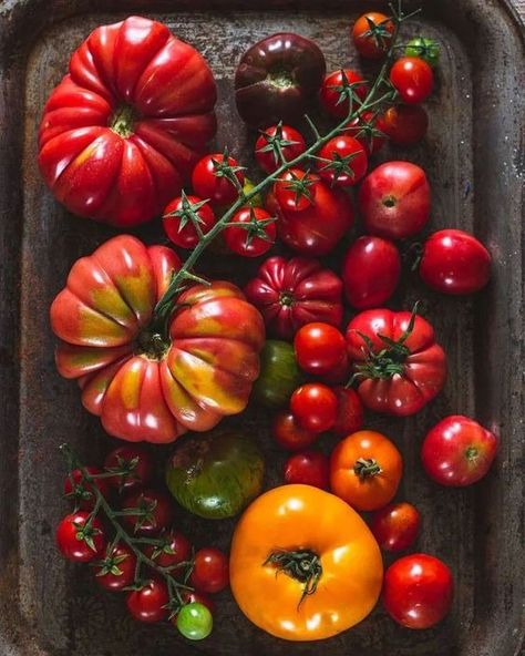 Tomato Decoration Ideas, Tomatoes Aesthetic, Tomato Aesthetic, Tomato Photography, Vegetables Aesthetic, Fruit Photos, Vegetables Photography, Bread Art, Vegetable Garden Diy