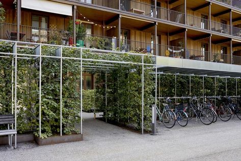 VOGT - Freilager, Albisrieden Bike Parking Design, Outdoor Bike Storage, Bike Shelter, Parking Building, Range Velo, Shell Structure, Concrete Buildings, Concrete Building, Bike Shed