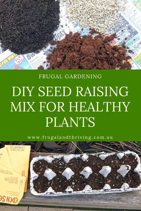 diy seed raising mix Vege Garden Ideas, Vege Garden, Frugal Gardening, Seed Raising, Seed Starting Mix, Seed Starting, Get Better, Garden Seeds, Garden Ideas