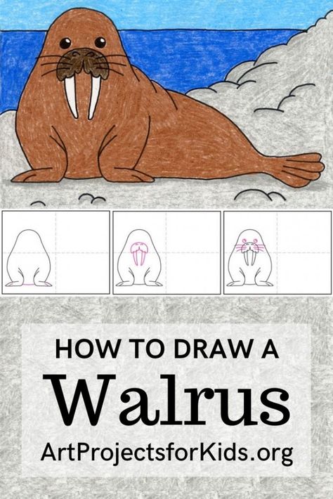 Learn how to draw a Walrus with this fun and easy art project for kids. Simple step by step PDF tutorial available. #howtodraw #artprojectsforkids #walrus Walrus Drawing Easy, Lightning Ocean, Walrus Art, Drawings For Boyfriend, Tutorial Drawing, Drawing Lessons For Kids, Directed Drawing, Student Drawing, Baby Drawing