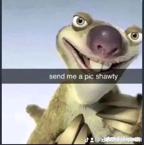 Sloth Meme, Sid The Sloth, Spooky Town, Funny Pix, Sloths Funny, Funny Meems, Very Funny Pictures, Silly Pictures, Funny Profile Pictures