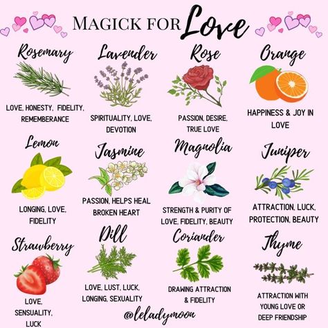 Awaken Your Inner Magic💎🌙 on Instagram: “Magick for love🌹🍓💕🌸🍫💫 . F O L L O W @leladymoon, @witchmagicklove & @thewitchymarketplace 🌙 . Tap the link in bio for....... 🎶Witchy…” Herb Meanings, Spells That Actually Work, Witchcraft Herbs, Beauty Spells, Witch Herbs, My Mistake, Magic Herbs, Eclectic Witch, Magical Herbs