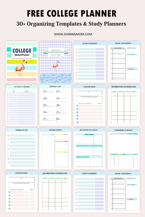 college planner printable free Study Planner Ideas College Students, Goodnotes College Planner, Wgu Teachers College, Assignment Planner Printable Free, Free College Printables, Student Planner Printable Free Templates, College Planner Printables, College Printables, Study Planner Free