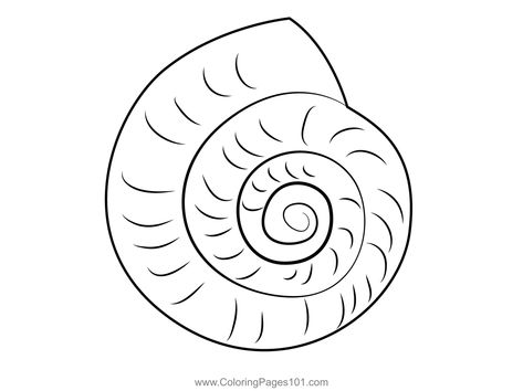 Snail Shell Coloring Page Sea Shell Coloring Pages, Snail Shell Drawing, Shells Coloring Pages, Snail Printable, Snail Coloring Page Free Printable, Snail Shell, Free Kids, Printable Coloring Pages, Coloring Pages For Kids