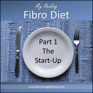 Fibro Diet, Pancreatic Diet Recipes, Paleo Plan, Chronic Fatigue Symptoms, Natural Healing Remedies, Fatigue Syndrome, Proper Diet, Chronic Fatigue, Fitness Nutrition