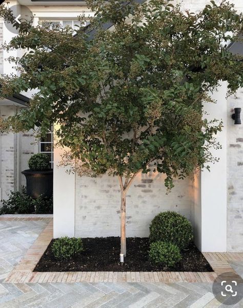 White Brick Driveway, Driveway Garden Ideas Entrance, Outdoor Pavers Patio, White Brick Porch, Terracotta Driveway, Paved Driveway Ideas, Herringbone Driveway, Patio With Border, Driveway Courtyard