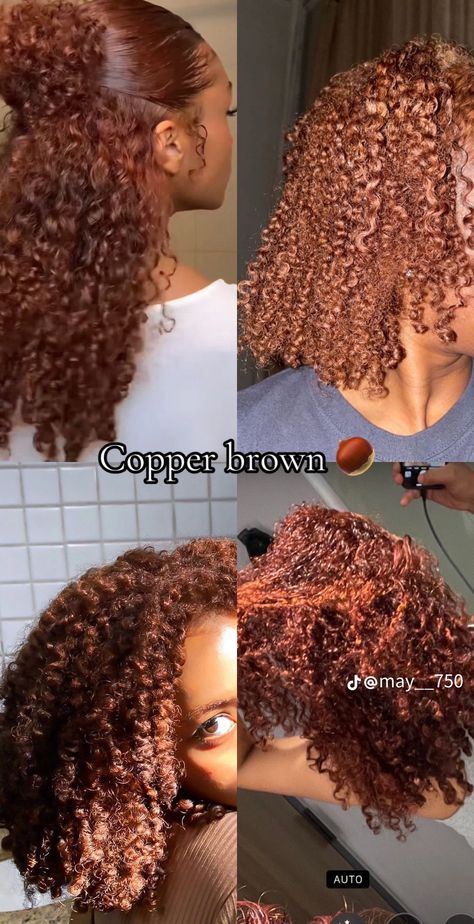 Full Head Color Ideas, Lightskin Girls With Curly Dyed Hair, Black Women Hair Dye Colors, Honey Brown And Honey Blonde Hair, Honey Brown On Natural Hair, Natural Curly Fall Hair Color, Naturally Curly Hair Fall Color Ideas, Hair Color Mixed Women, Hair For Neutral Undertones