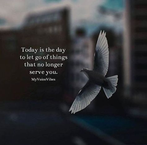 Today is the day to let go of things that no longer serve you life quotes quotes quote inspirational quotes let go moving on quotes life quotes and sayings Detachment Quotes Letting Go, Hmm Quotes, Butterfly Process, Detachment Quotes, Quotes Letting Go, Let Go Of Things, On The Wings Of Love, Let Go Of Everything, Best Positive Quotes