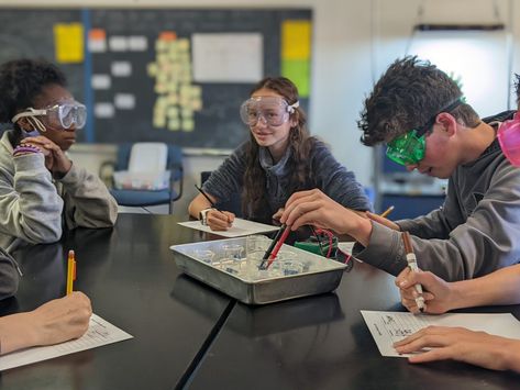 Students doing an OpenSciEd science experiment in science class Openscied Classroom, Teacher Store, Teachers Pay Teachers, Educational Resources, Teacher Pay Teachers, Created By, Education