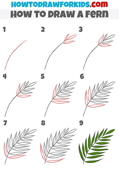 Fern Drawing, Useful Skills, معرض فني, Vine Drawing, Flower Drawings, Drawing Tutorials For Kids, Garden Drawing, Leaf Drawing, Plant Drawing