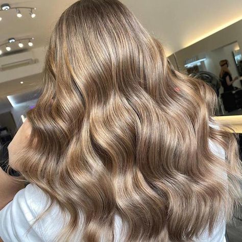 How to Create Beige Blonde Hair Color | Wella Professionals Level 8 Hair Color, Level 8 Hair, Neutral Blonde Hair, Beige Hair Color, Beige Blonde Hair Color, Cool Blonde Hair Colour, Hair Levels, Beige Blonde Hair, Blonde Highlights On Dark Hair