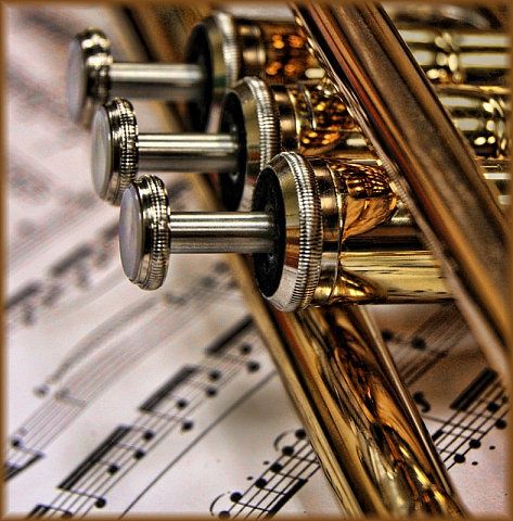 Brass Music, Trumpet Music, Vision Book, Brass Instrument, Strange Music, Brass Instruments, Band Photography, Cool Jazz, Band Kid