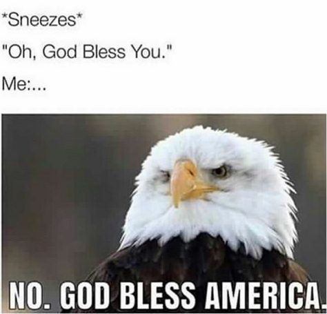 America Memes, I Love America, Goofy Pictures, Funny Animal Jokes, Very Funny Pictures, Some Funny Jokes, God Bless America, Really Funny Pictures, Really Funny Memes