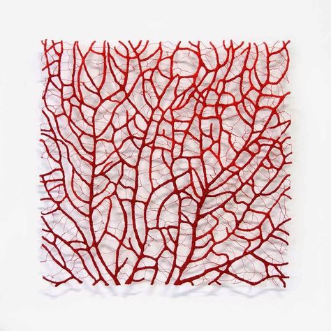 Meredith Woolnough, Coral Artwork, Coral Sculpture, Water Soluble Fabric, Specimen Collection, Coral Art, Coral Pattern, Coral Design, Organic Pattern