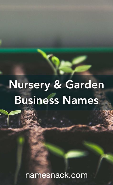 Names For Plant Business, Nursery Business Ideas, Garden Names Creative, Greenhouse Name Ideas, Plant Business Name Ideas, Plant Shop Name Ideas, Plant Shop Names, Garden Names Ideas, Plant Nursery Logo