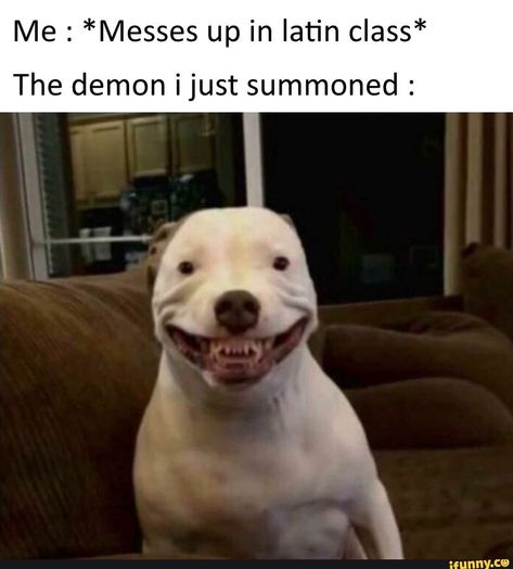 Me : *Messes up in latin class* The demon ijust summoned : – popular memes on the site iFunny.co #scifimythical #artcreative #me #latin #the #demon #ijust #summoned #pic 10 Funniest, Memes Humor, Komik Internet Fenomenleri, Really Funny Memes, Super Funny, Funny Laugh, Popular Memes, Funny Cute, Funny Texts