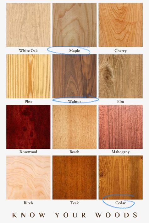 Basic Woodworking Projects, Types Of Wood Flooring, Basic Woodworking, Woodworking Projects For Beginners, Wood Stain Colors, Wood Sample, Different Types Of Wood, Free Woodworking Plans, Beginner Woodworking Projects