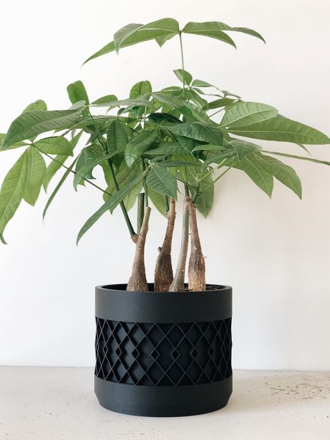 Big Planters, Traditional Front Doors, Front Door Christmas Decorations, Large Plant Pots, Black Planters, Geometric Planter, Planter Gift, Indoor Planter, Succulents In Containers