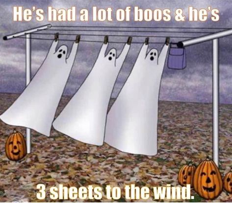 Halloween Funny Pictures, Halloween Funnies Humor, Funny Paranormal, Banner Painting, Funny Halloween Jokes, Fall Sayings, Happy Halloween Funny, Happy Halloween Pictures, Halloween Humor