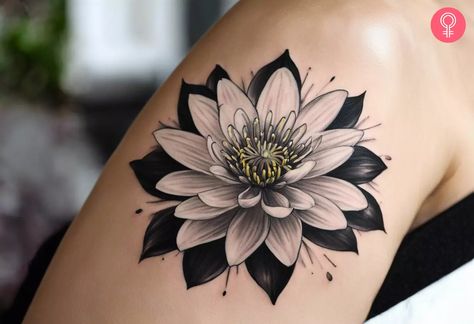 8 Amazing Water Lily Tattoo Ideas In Unique Styles Water Lily Tattoos For Women, Water Lilly Tattoo Stencils, Water Lily Tattoo Sleeve, Water Flower Tattoo, Black Dragonfly Tattoo, Water Lilies Tattoo, Lilypad Tattoo, Water Lily Tattoo Design, Waterlilly Tattoo