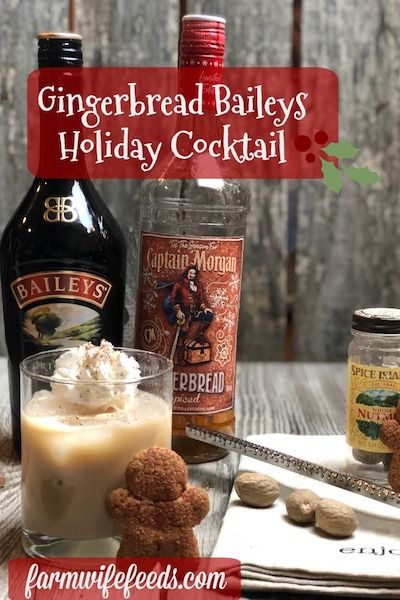 Gingerbread Baileys Holiday Cocktail from Farmwife Feeds is a festive seasonal cocktail made with Captain Morgans Gingerbread Rum! #cocktail #gingerbread #rum #baileys Spiced Rum Recipes, Baileys Drinks, Baileys Cocktails, Christmas Cocktails Easy, Xmas Recipes, Baileys Recipes, Attitude Adjustment, Rum Recipes, Seasonal Cocktail