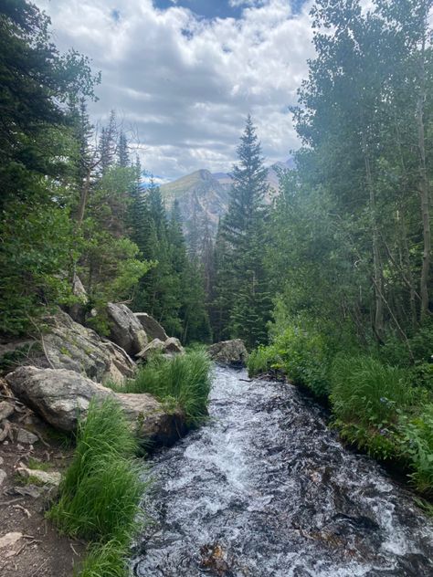 hiking views Nature Hiking Aesthetic, Hiking Vibes, Hiking Core, Hike Aesthetic, Hiking Views, Outdoors Aesthetic, Cottagecore Garden, Carolina Mountains, Hiking Pictures